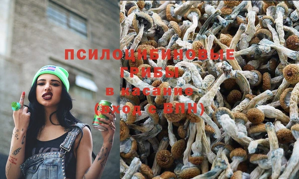 дурь Баксан