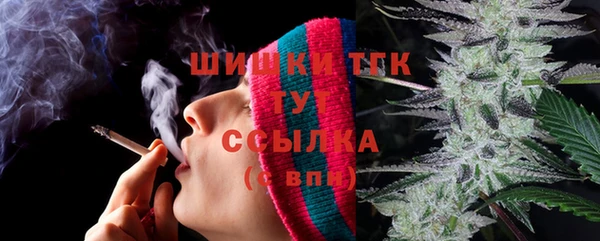 дмт Протвино