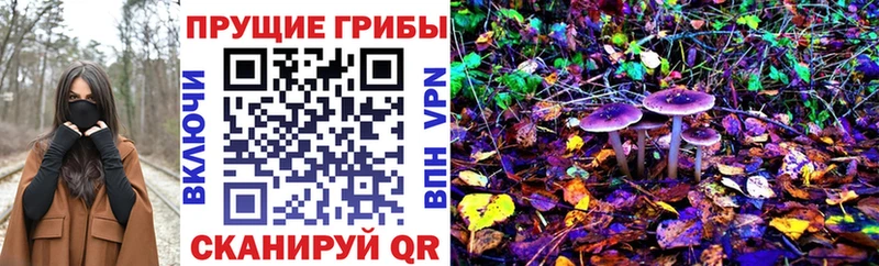 продажа наркотиков  Ливны  OMG ссылка  Псилоцибиновые грибы Cubensis 