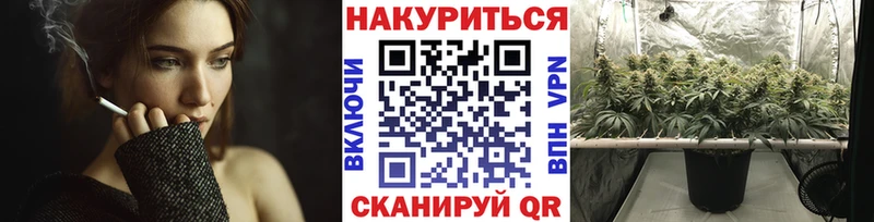 купить закладку  Ливны  МЕГА ТОР  Шишки марихуана сатива 